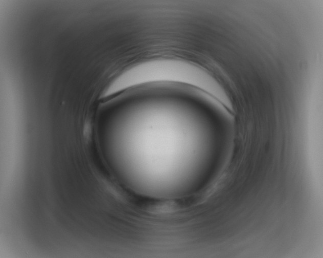 X0000113180124200909111102