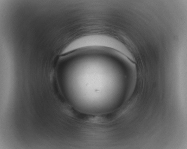 X0000113180125200909111102