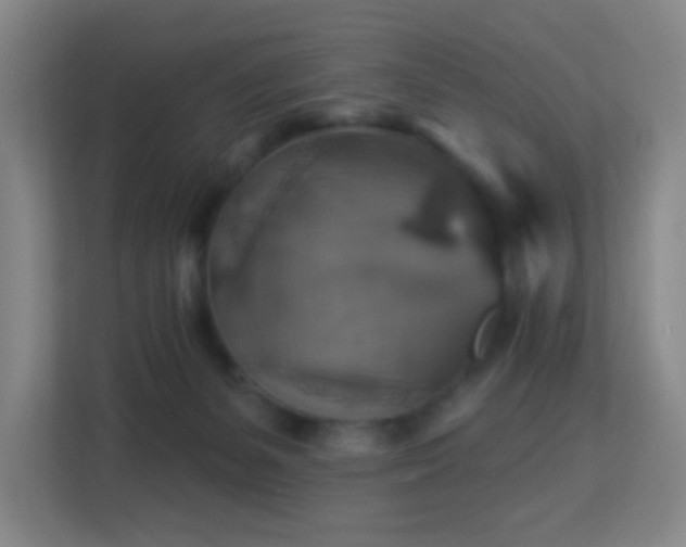 X0000113180127200909111102