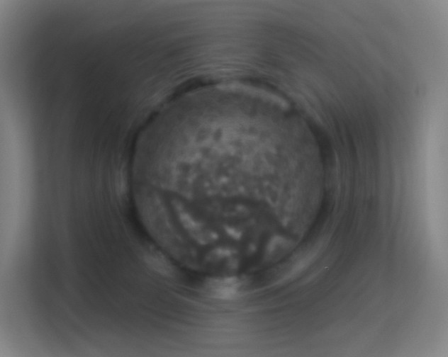 X0000113180131200909111102