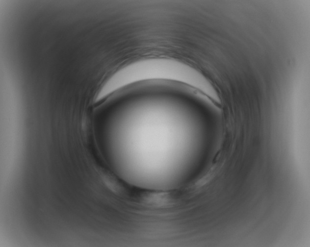 X0000113180132200909111102