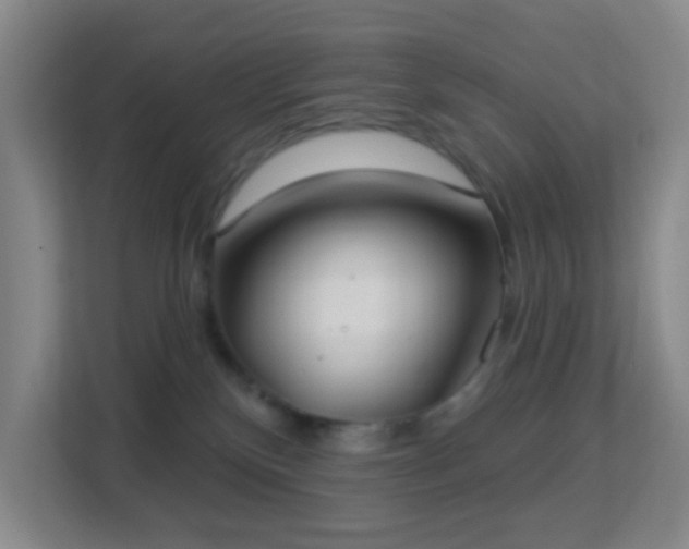 X0000113180136200909111102