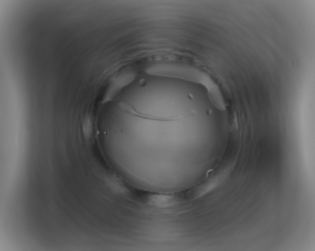 X0000113180139200909111102