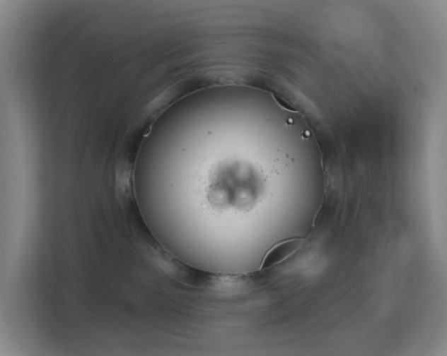 X0000113180141200909111102