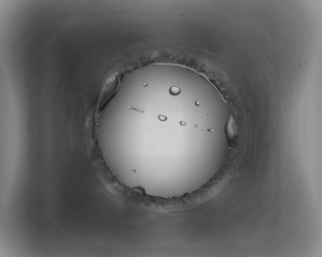 X0000113180144200909111102