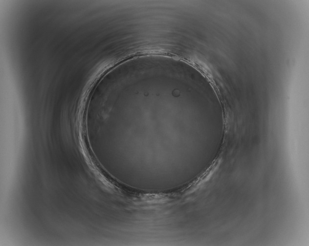 X0000113180145200909111101