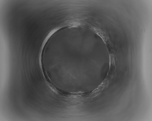 X0000113180147200909111101