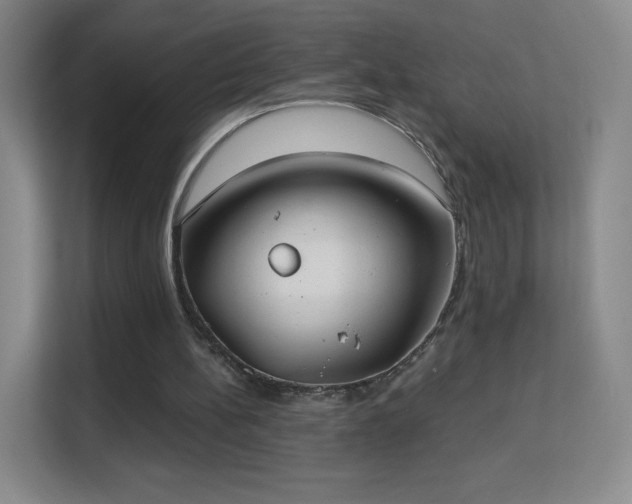 X0000113180148200909111101