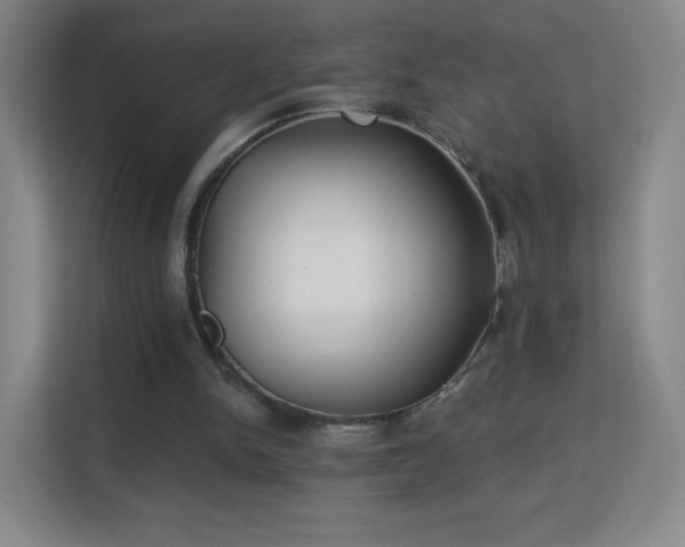 X0000113180150200909111101