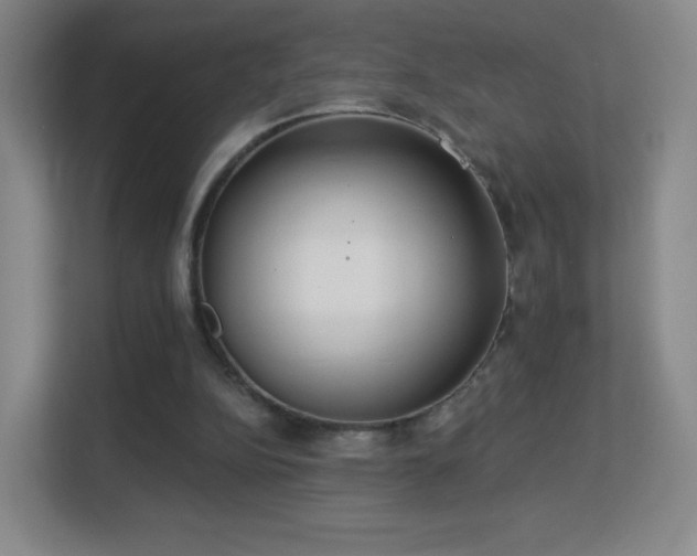 X0000113180152200909111101