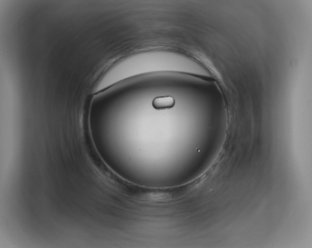 X0000113180154200909111101
