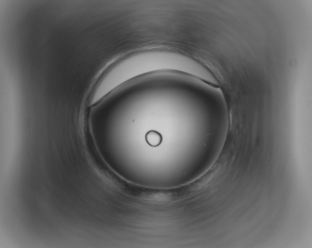 X0000113180156200909111101