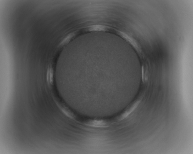 X0000113180157200909111101