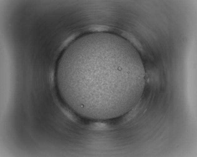 X0000113180159200909111101