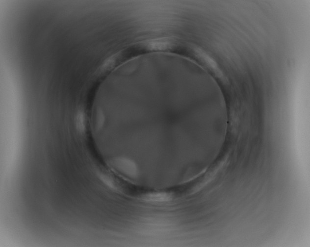 X0000113180161200909111101