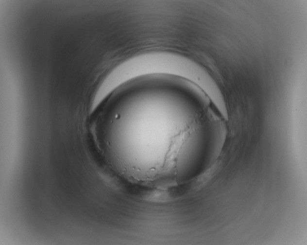 X0000113180162200909111101