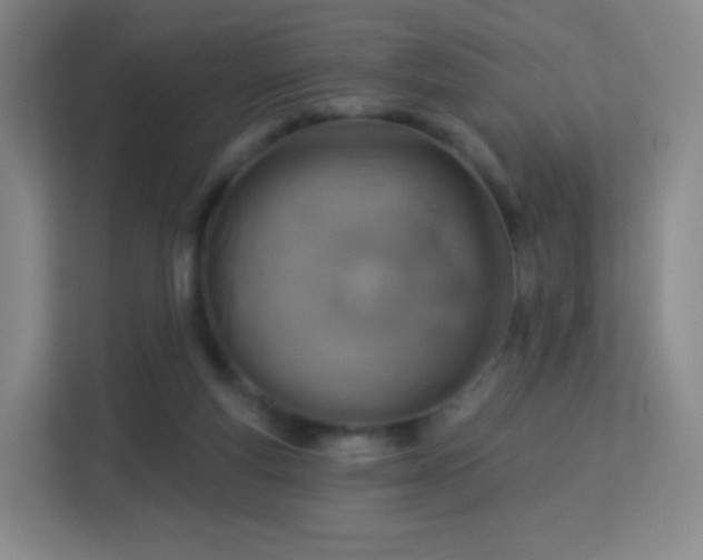 X0000113180163200909111101