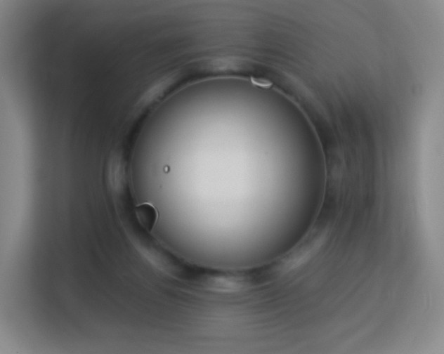 X0000113180164200909111102