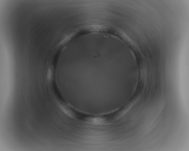 X0000113180165200909111102