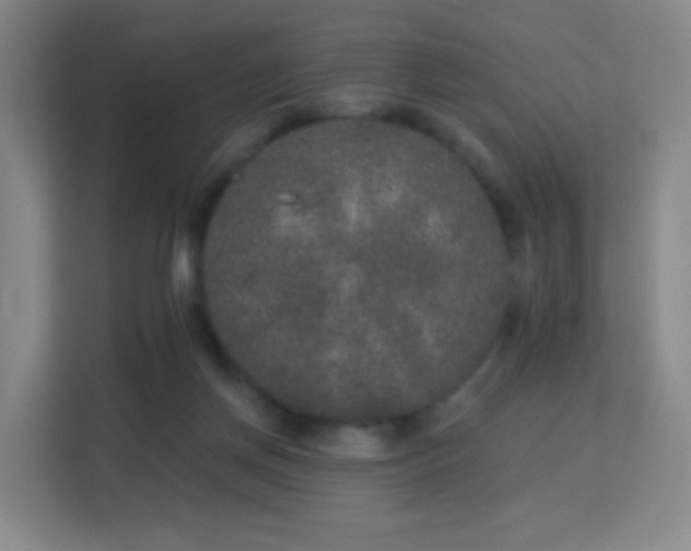 X0000113180166200909111102