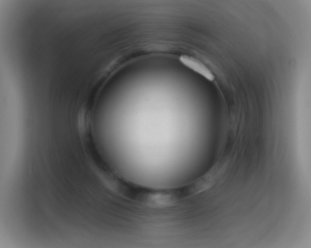 X0000113180168200909111102