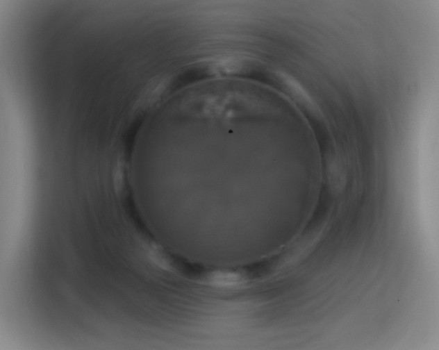 X0000113180169200909111102