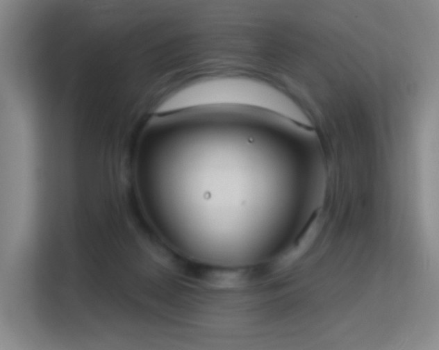 X0000113180170200909111102