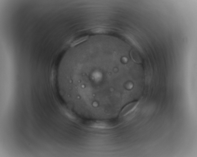 X0000113180171200909111102