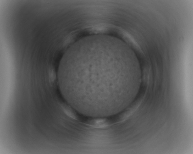 X0000113180173200909111102
