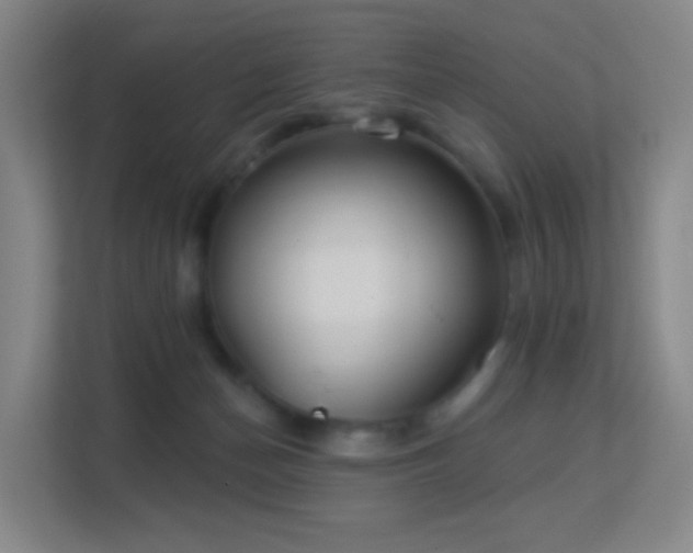 X0000113180174200909111102