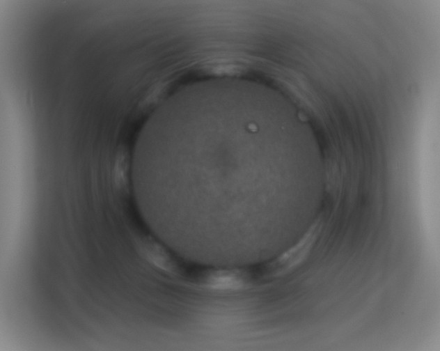 X0000113180175200909111102