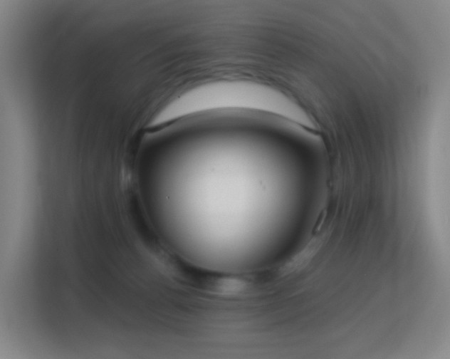 X0000113180176200909111102