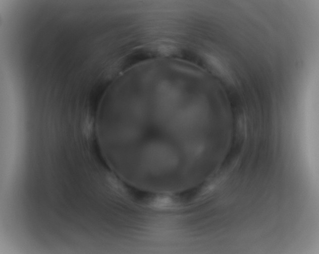 X0000113180177200909111102