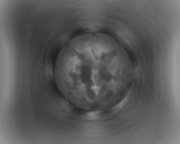 X0000113180178200909111102