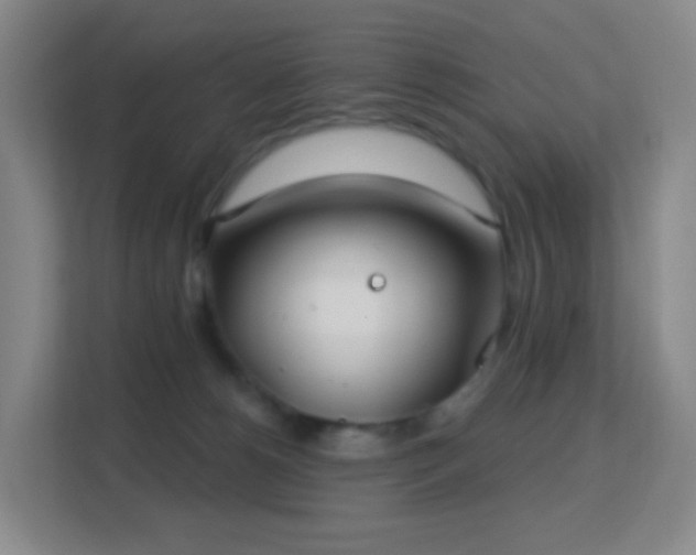 X0000113180180200909111102