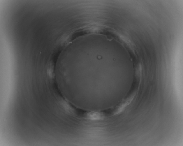 X0000113180181200909111102