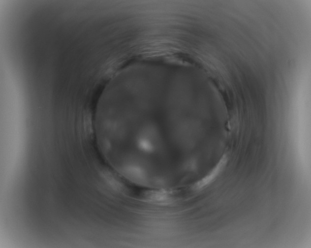 X0000113180182200909111102