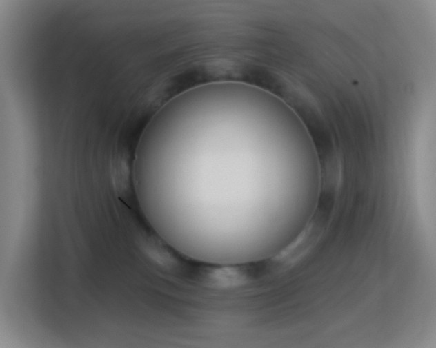 X0000113180183200909111102