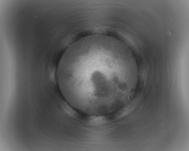 X0000113180185200909111102