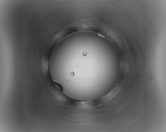 X0000113180188200909111102