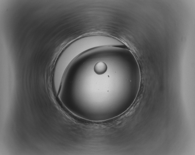 X0000113180193200909111101