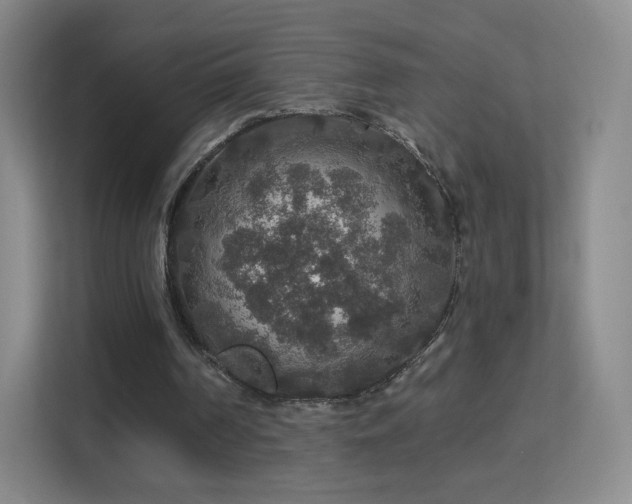 X0000113180194200909111101