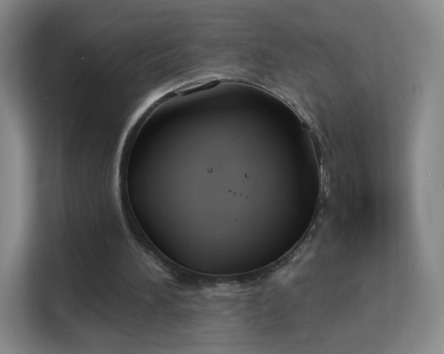 X0000113180196200909111101