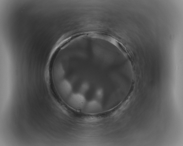 X0000113180198200909111101