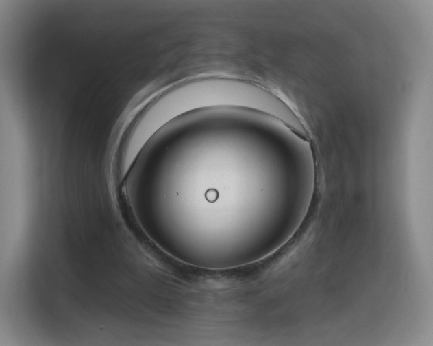 X0000113180199200909111101