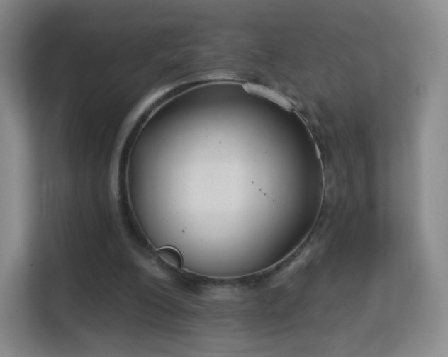 X0000113180200200909111101