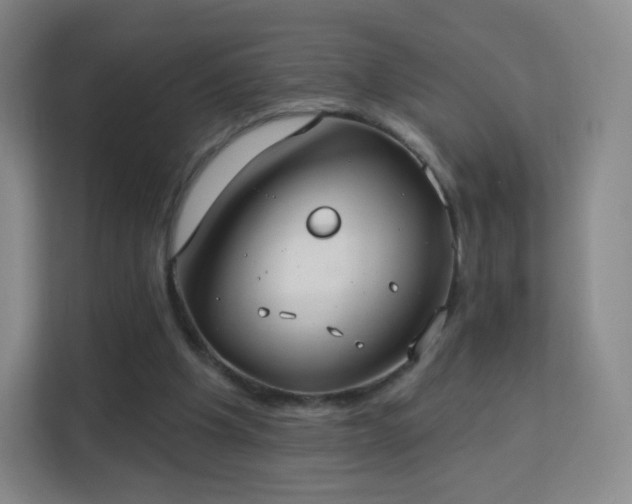 X0000113180201200909111101