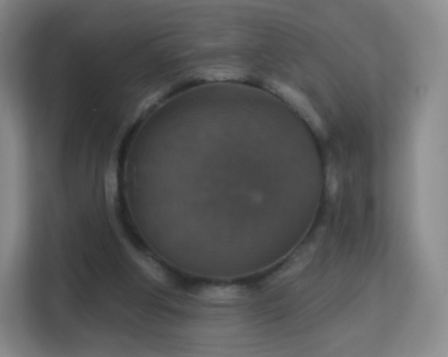 X0000113180202200909111101