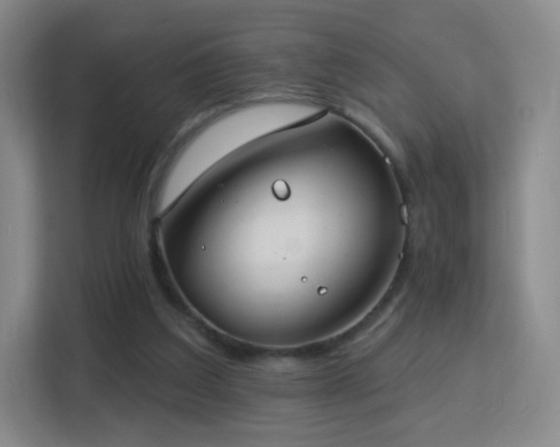 X0000113180203200909111101