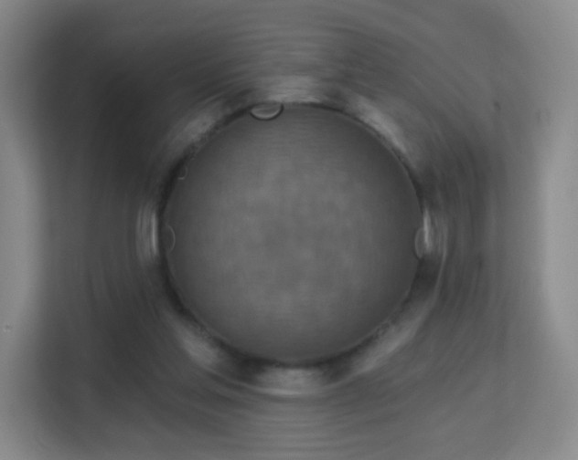 X0000113180205200909111101